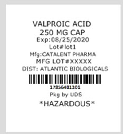 Image 2 (Valproic Acid)